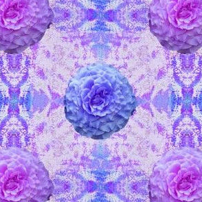 Rose_Blue_Purple
