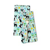 boston terrier, beach fun cute beach summer tropical dog cute dog