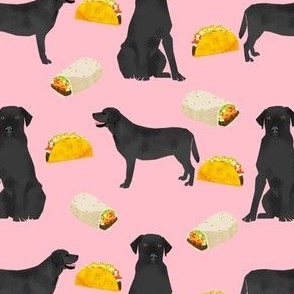 Black Labrador, tacos, food, black lab, labrador retriever, food, novelty dog print for lab owners, cute dogs dog print