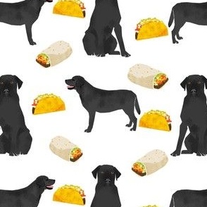 Black Labrador, tacos, food, black lab, labrador retriever, food, novelty dog print for lab owners, cute dogs dog print
