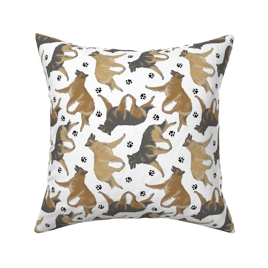 Trotting Belgian Tervuren and paw prints - white