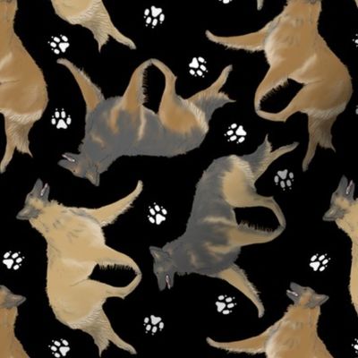 Trotting Belgian Tervuren and paw prints - black