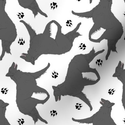 Trotting Belgian Sheepdog and paw prints - white