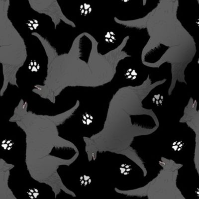 Trotting Belgian Sheepdog and paw prints - black