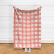 Watercolor Gingham // Peach 3.5"