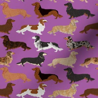 dachshunds long haired doxie dog pet dog cute dog fabric