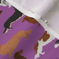 dachshunds long haired doxie dog pet dog cute dog fabric