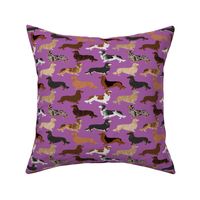 dachshunds long haired doxie dog pet dog cute dog fabric