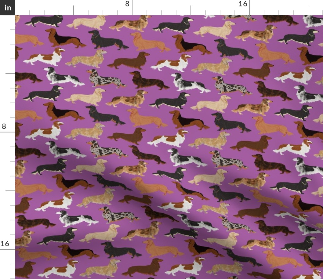 dachshunds long haired doxie dog pet dog cute dog fabric