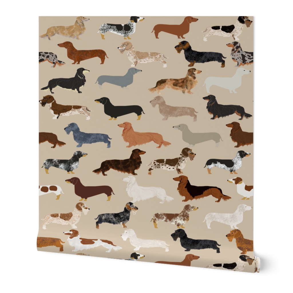 doxie dachshunds dogs pet dog fabric doxie fabric wiener dog crafts cut and sew 