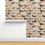 doxie dachshunds dogs pet dog fabric doxie fabric wiener dog crafts cut and sew 