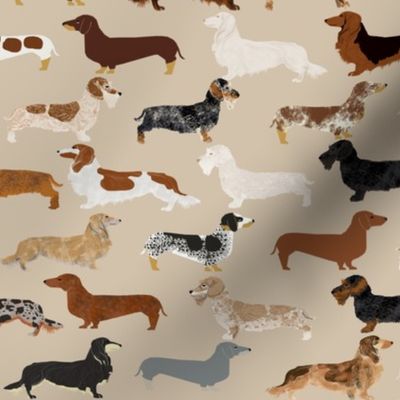 doxie dachshunds dogs pet dog fabric doxie fabric wiener dog crafts cut and sew 