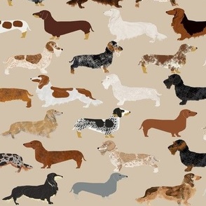 doxie dachshunds dogs pet dog fabric doxie fabric wiener dog crafts cut and sew 