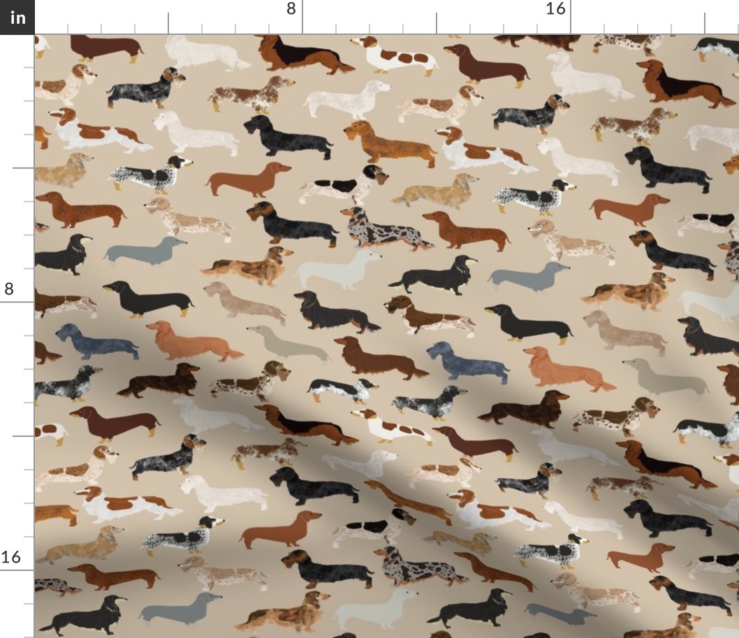 doxie dachshunds dogs pet dog fabric doxie fabric wiener dog crafts cut and sew 