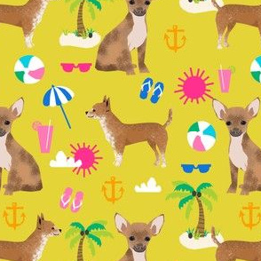 chihuahua beach yellow kids cute summer beach pet dogs dog chihuahua pet dog  tropical palm tree 