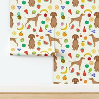 vizsla dog fruits cute dogs pet dogs fabric sweet dog