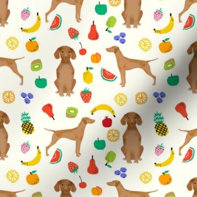 vizsla dog fruits cute dogs pet dogs fabric sweet dog