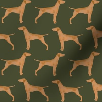 vizsla dog dogs vizslas dog fabric cute pet dog fabrics