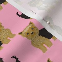 yorkshire terrier yorkie cute dog pet pets dog yorkie fabric pink cute yorkie 