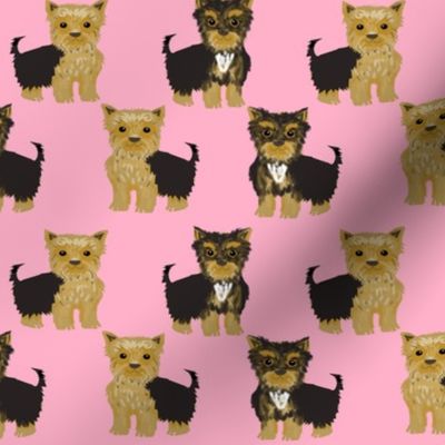 yorkshire terrier yorkie cute dog pet pets dog yorkie fabric pink cute yorkie 