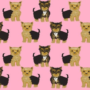 yorkshire terrier yorkie cute dog pet pets dog yorkie fabric pink cute yorkie 