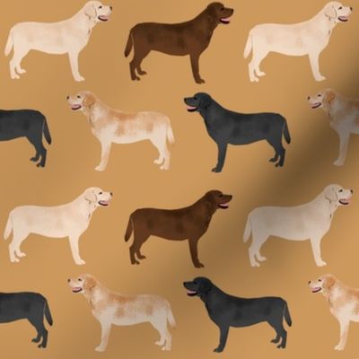 labrador retrievers dogs cute yellow lab chocolate lab black lab labrador fabrics for lab owners preppy cute lovely dogs