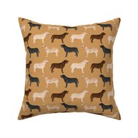labrador retrievers dogs cute yellow lab chocolate lab black lab labrador fabrics for lab owners preppy cute lovely dogs