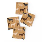 labrador retrievers dogs cute yellow lab chocolate lab black lab labrador fabrics for lab owners preppy cute lovely dogs