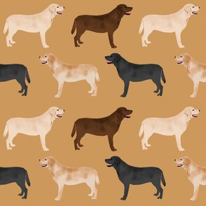 labrador retrievers dogs cute yellow lab chocolate lab black lab labrador fabrics for lab owners preppy cute lovely dogs