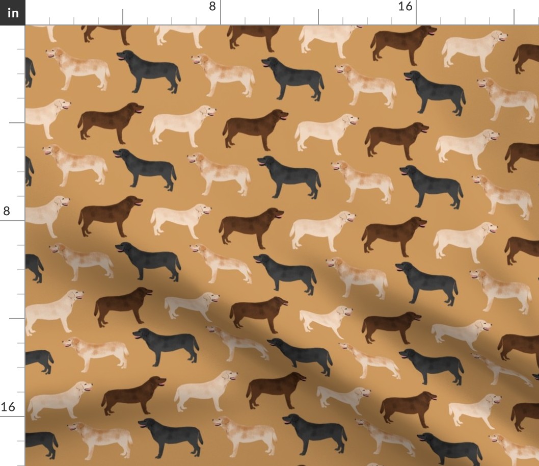 labrador retrievers dogs cute yellow lab chocolate lab black lab labrador fabrics for lab owners preppy cute lovely dogs