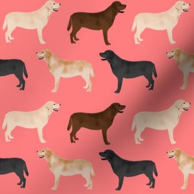 labrador retriever coral pink cute lab dogs fabric yellow lab chocolate lab black lab fabric for labrador owners cute lab fabric