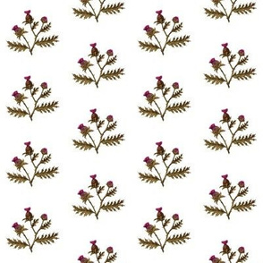 Thistles in Olive & Purple on White