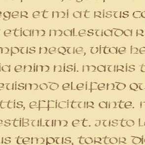 uncial Latin on parchment