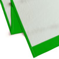 BN9 - Apple Green Solid