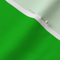 BN9 - Apple Green Solid