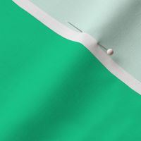 BN9 -  Soothing Seafoam  Green Solid