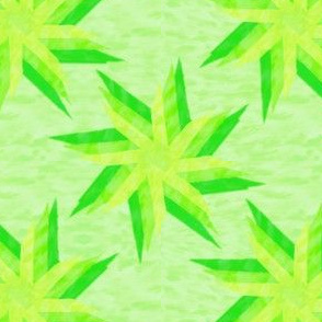 Layered Star Lime