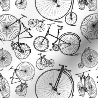 Antique Bikes & Bicycles 