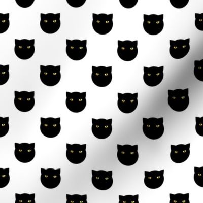 black polka dot cat