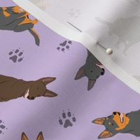 Tiny Australian Kelpies - purple