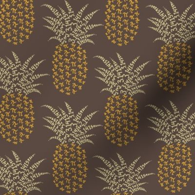 pi-napple pineapple - retro kitchen