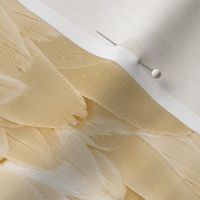 bird feather - light brown