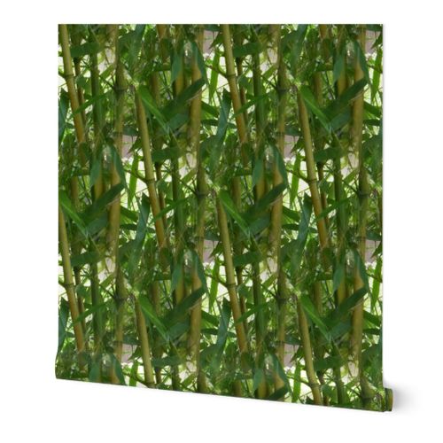 bamboo garden Wallpaper | Spoonflower