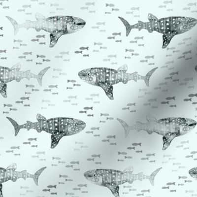 Whale Shark Whimsy