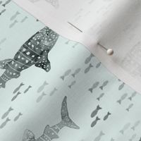 Whale Shark Whimsy