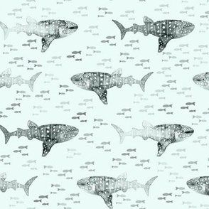 Whale Shark Whimsy