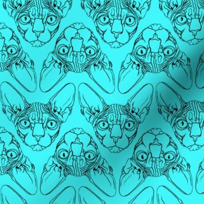 Sphynx lines fabric Turquoise