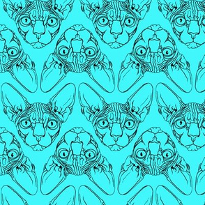 Sphynx lines fabric Turquoise