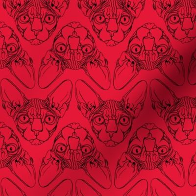 Sphynx lines fabric Red