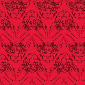 Sphynx lines fabric Red